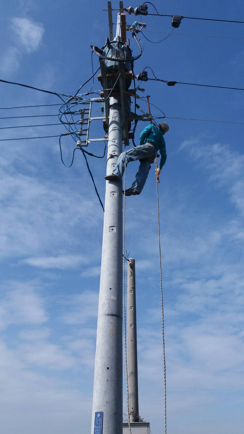 配高壓電線